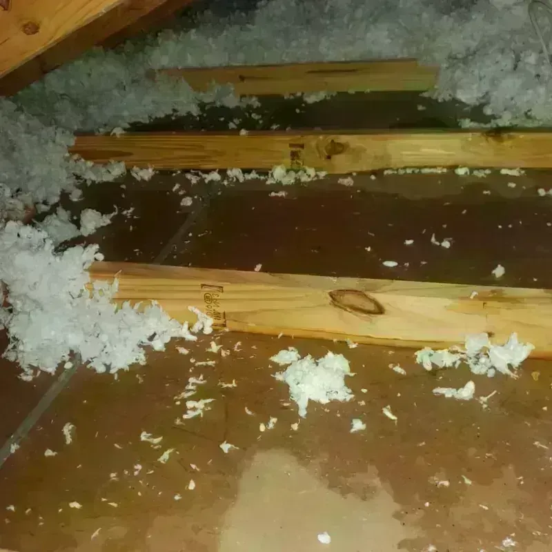 Attic Water Damage in McClain County, OK