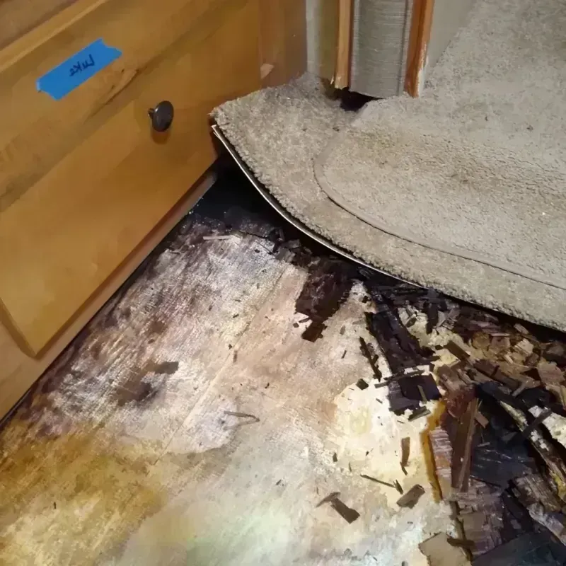 Wood Floor Water Damage in McClain County, OK